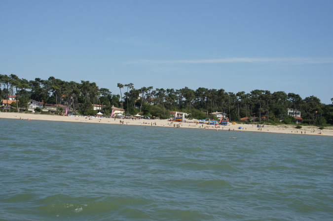 Ronce_juillet_2013_031