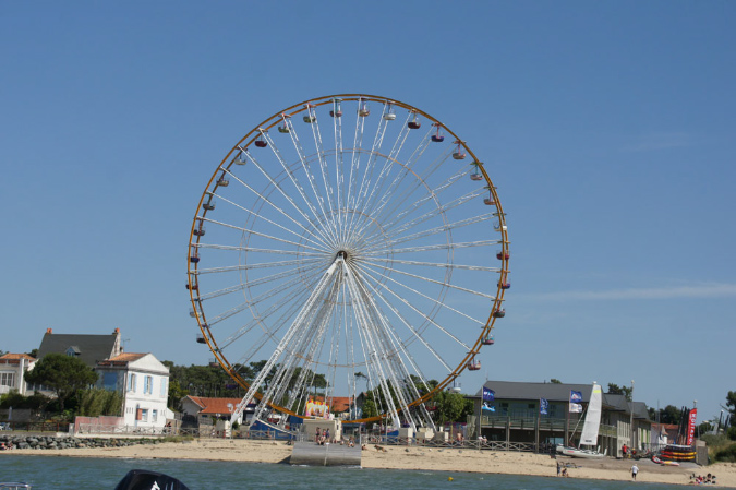 Ronce_juillet_2013_034