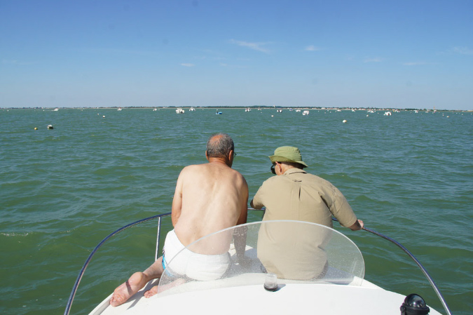 Ronce_juillet_2013_036