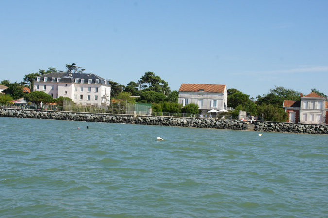 Ronce_juillet_2013_037