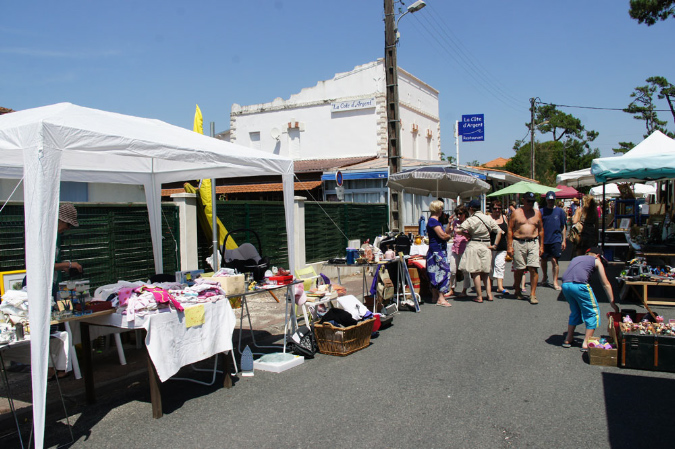 Ronce_juillet_2013_048