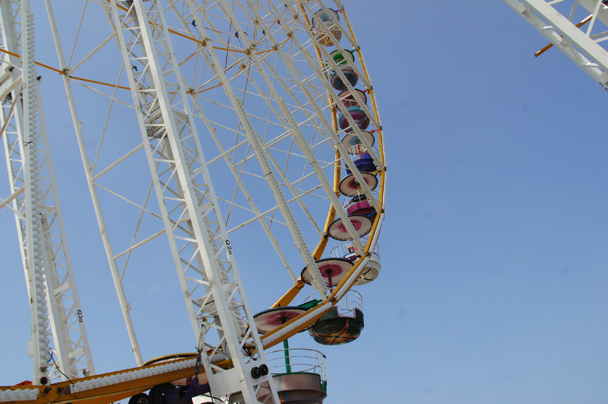 Ronce_juillet_2013_055