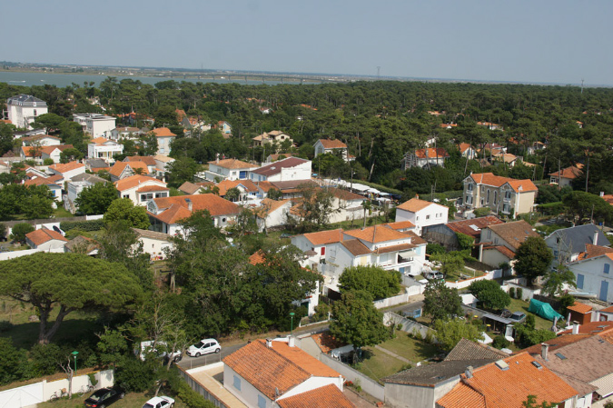 Ronce_juillet_2013_061