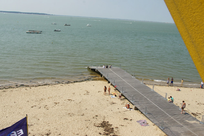 Ronce_juillet_2013_063