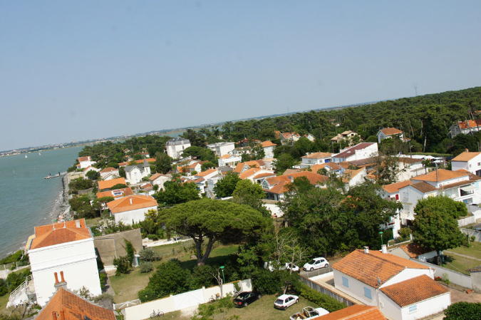 Ronce_juillet_2013_067