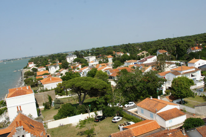Ronce_juillet_2013_069