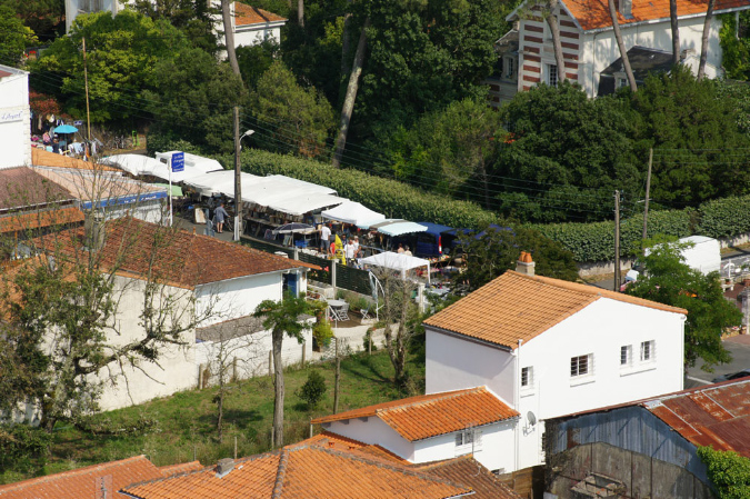 Ronce_juillet_2013_077