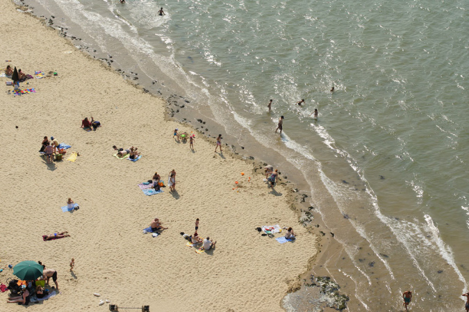 Ronce_juillet_2013_081