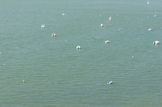Ronce_juillet_2013_082