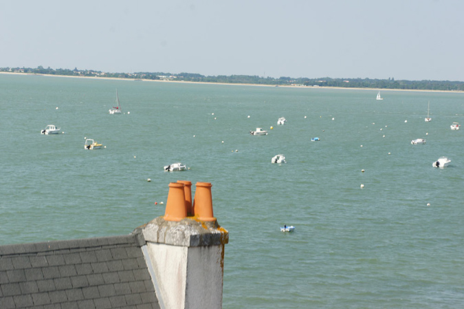 Ronce_juillet_2013_083