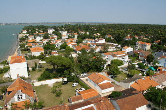 Ronce_juillet_2013_087