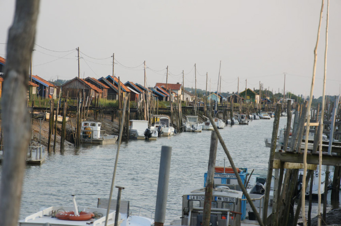 Ronce_juillet_2013_109