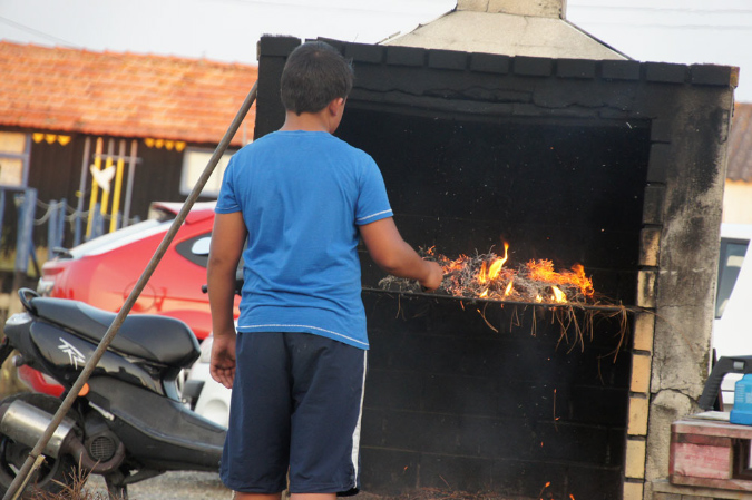 Ronce_juillet_2013_113