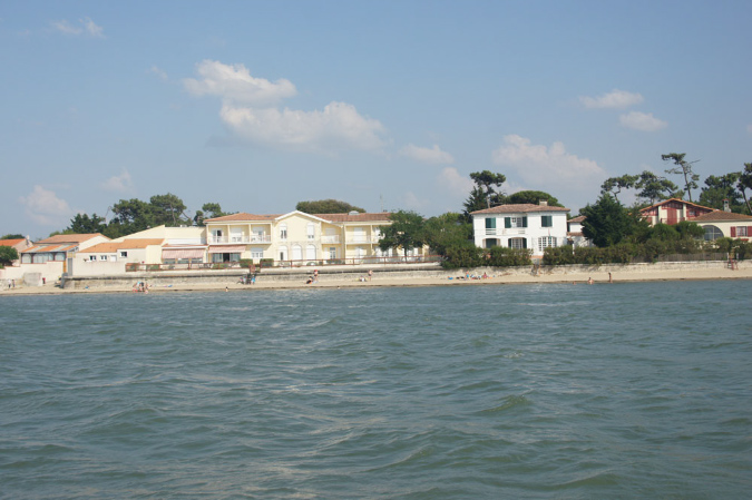 Ronce_juillet_2013_141