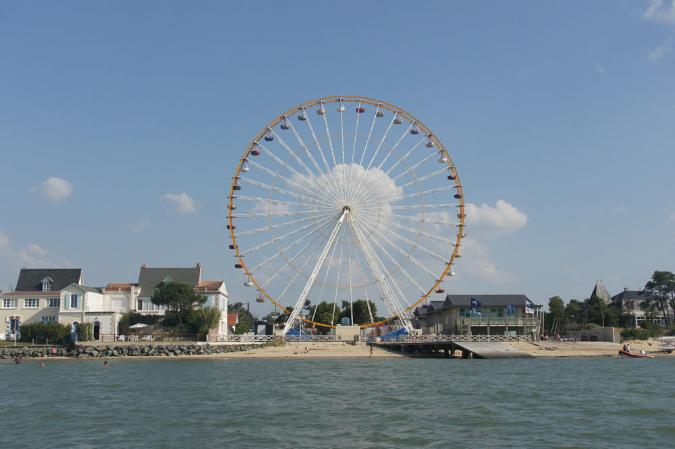 Ronce_juillet_2013_145