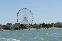 Ronce_juillet_2013_002