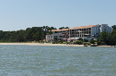 Ronce_juillet_2013_009