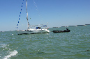 Ronce_juillet_2013_010