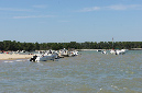Ronce_juillet_2013_011