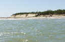 Ronce_juillet_2013_014