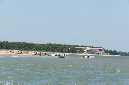 Ronce_juillet_2013_015