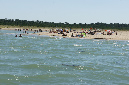 Ronce_juillet_2013_017