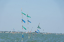 Ronce_juillet_2013_023