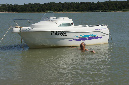 Ronce_juillet_2013_029