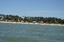 Ronce_juillet_2013_031