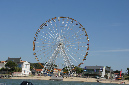 Ronce_juillet_2013_034