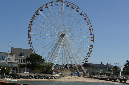Ronce_juillet_2013_035
