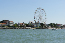 Ronce_juillet_2013_038