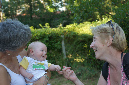 Ronce_juillet_2013_047