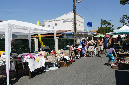 Ronce_juillet_2013_048