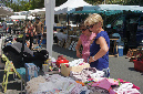 Ronce_juillet_2013_053
