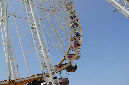 Ronce_juillet_2013_055