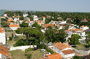 Ronce_juillet_2013_062