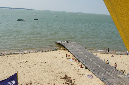 Ronce_juillet_2013_063