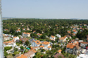 Ronce_juillet_2013_065
