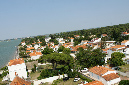 Ronce_juillet_2013_067