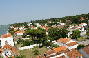 Ronce_juillet_2013_072