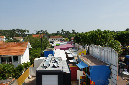 Ronce_juillet_2013_074