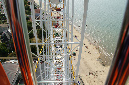 Ronce_juillet_2013_080