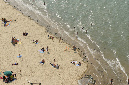Ronce_juillet_2013_081