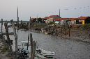 Ronce_juillet_2013_116
