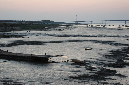 Ronce_juillet_2013_122