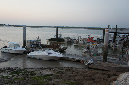 Ronce_juillet_2013_123