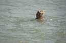 Ronce_juillet_2013_125