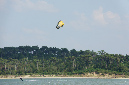 Ronce_juillet_2013_129