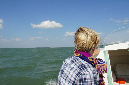 Ronce_juillet_2013_134